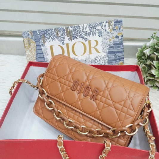 Dior chic